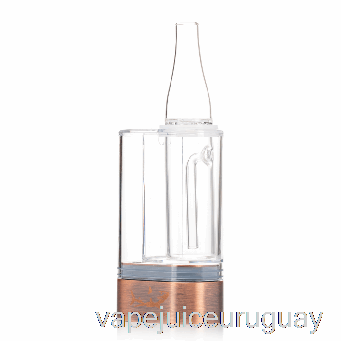 Dispositivos Hamilton Ps1 Kit 2 En 1 Ps1 Vaporizador De Doble Cartucho Vape Recargable